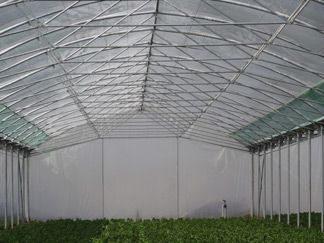 نمونه های مختلفی از گلخانه های احداث شده توسط شرکت سبزینه گستران شهریار